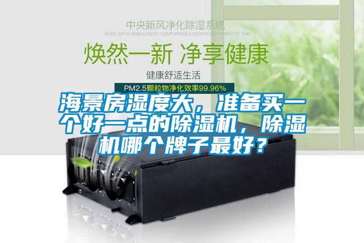 海景房濕度大，準(zhǔn)備買一個好一點(diǎn)的除濕機(jī)，除濕機(jī)哪個牌子最好？