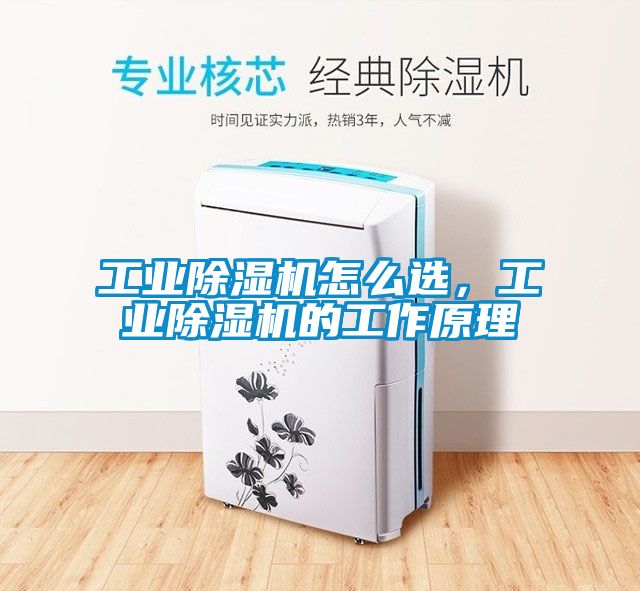 工業(yè)除濕機(jī)怎么選，工業(yè)除濕機(jī)的工作原理
