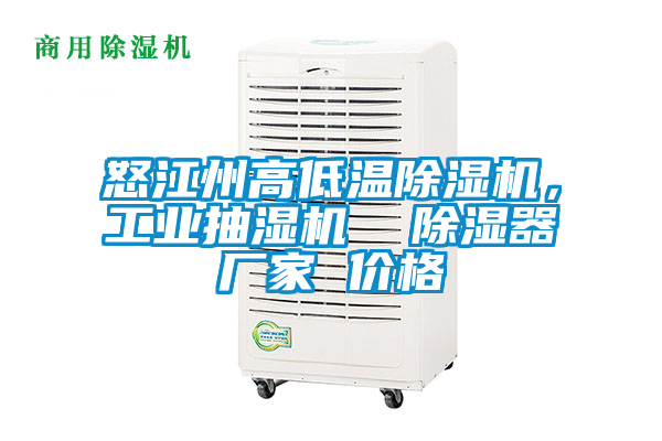 怒江州高低溫除濕機(jī)，工業(yè)抽濕機(jī)  除濕器廠(chǎng)家 價(jià)格