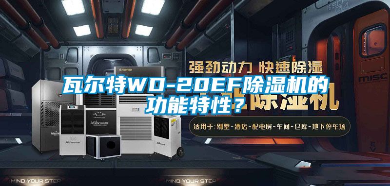 瓦爾特WD-20EF除濕機(jī)的功能特性？