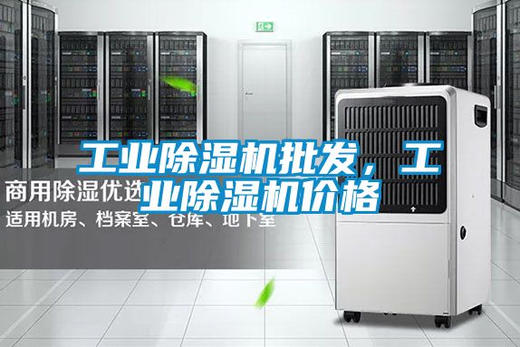 工業(yè)除濕機(jī)批發(fā)，工業(yè)除濕機(jī)價(jià)格