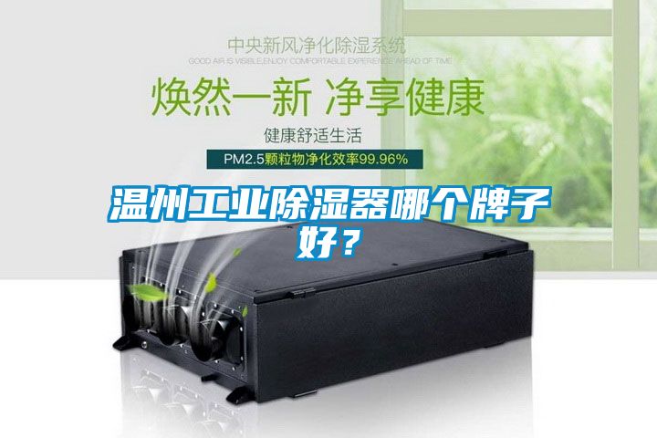 溫州工業(yè)除濕器哪個牌子好？