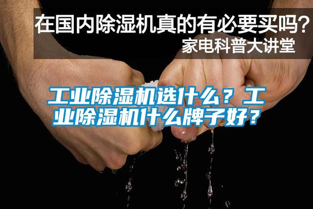 工業(yè)除濕機(jī)選什么？工業(yè)除濕機(jī)什么牌子好？