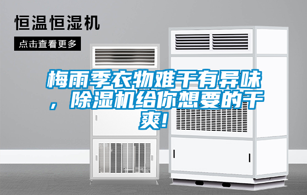 梅雨季衣物難干有異味，除濕機(jī)給你想要的干爽!