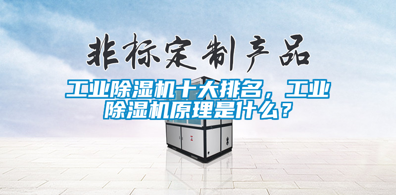 工業(yè)除濕機(jī)十大排名，工業(yè)除濕機(jī)原理是什么？