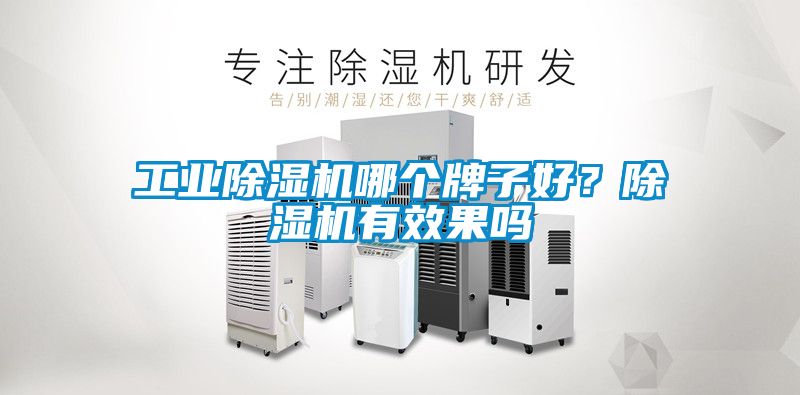 工業(yè)除濕機哪個牌子好？除濕機有效果嗎