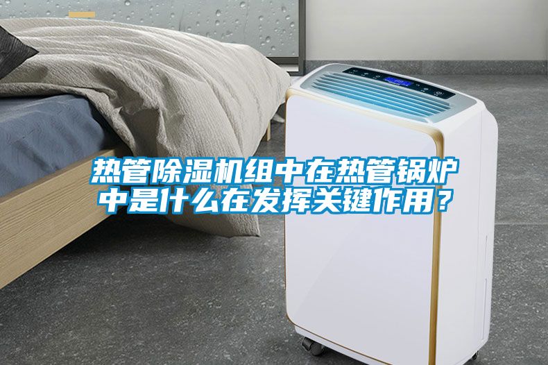 熱管除濕機組中在熱管鍋爐中是什么在發(fā)揮關(guān)鍵作用？