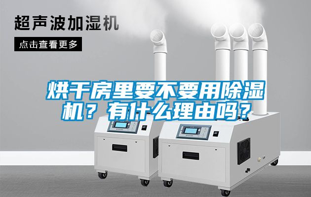 烘干房里要不要用除濕機(jī)？有什么理由嗎？