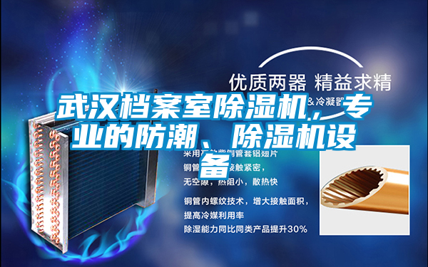 武漢檔案室除濕機，專業(yè)的防潮、除濕機設(shè)備