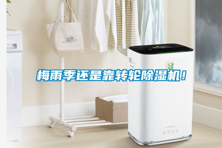 梅雨季還是靠轉(zhuǎn)輪除濕機(jī)！