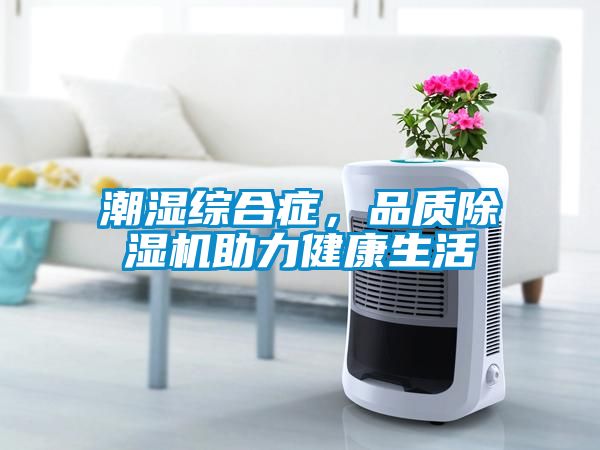 潮濕綜合癥，品質(zhì)除濕機(jī)助力健康生活