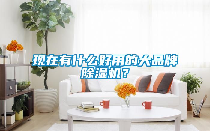 現(xiàn)在有什么好用的大品牌除濕機(jī)？