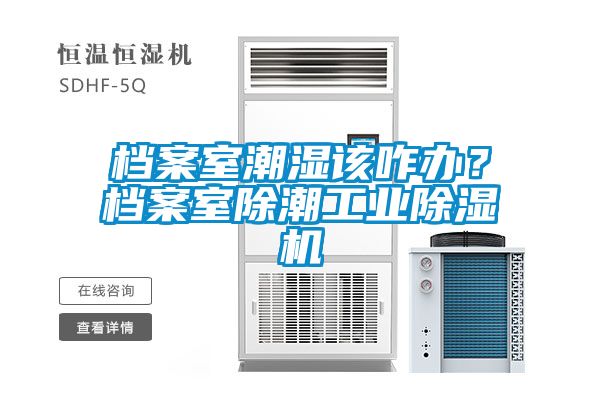 檔案室潮濕該咋辦？檔案室除潮工業(yè)除濕機(jī)