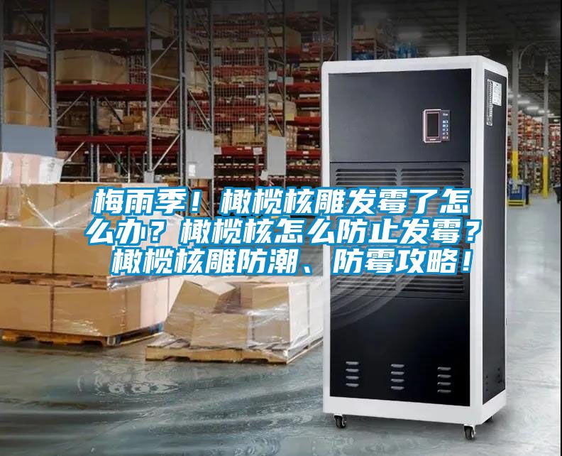 梅雨季！橄欖核雕發(fā)霉了怎么辦？橄欖核怎么防止發(fā)霉？ 橄欖核雕防潮、防霉攻略！