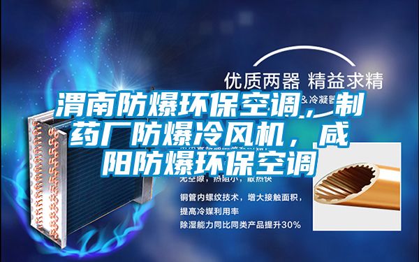 渭南防爆環(huán)保空調(diào)，制藥廠防爆冷風(fēng)機(jī)，咸陽防爆環(huán)?？照{(diào)