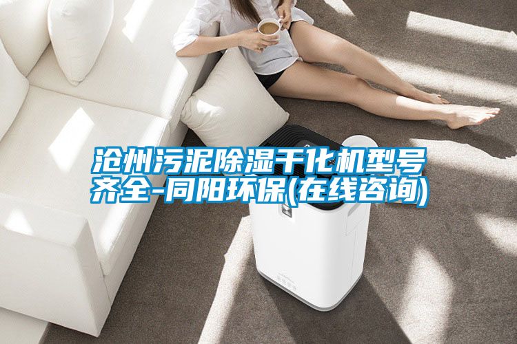 滄州污泥除濕干化機(jī)型號(hào)齊全-同陽(yáng)環(huán)保(在線咨詢(xún))