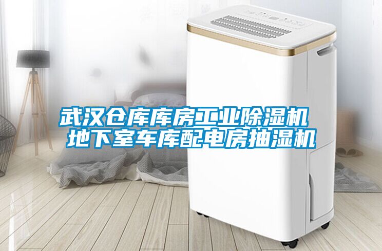 武漢倉(cāng)庫(kù)庫(kù)房工業(yè)除濕機(jī) 地下室車(chē)庫(kù)配電房抽濕機(jī)