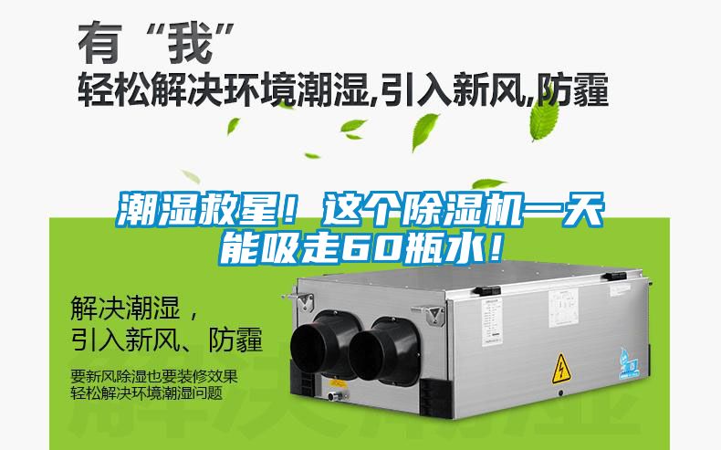 潮濕救星！這個(gè)除濕機(jī)一天能吸走60瓶水！