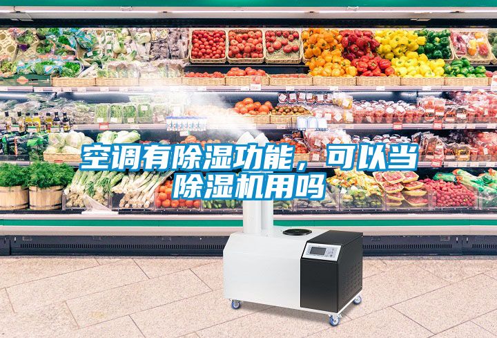 空調(diào)有除濕功能，可以當除濕機用嗎