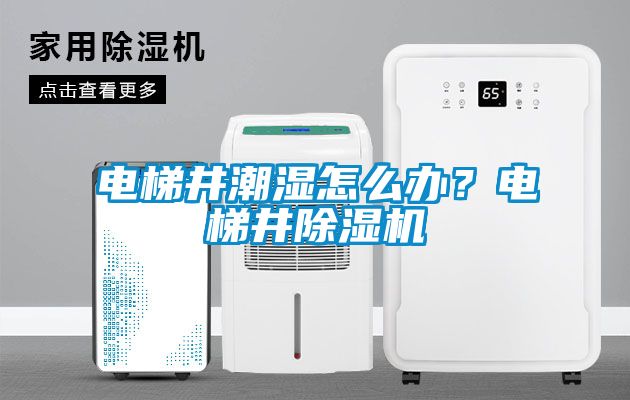 電梯井潮濕怎么辦？電梯井除濕機(jī)