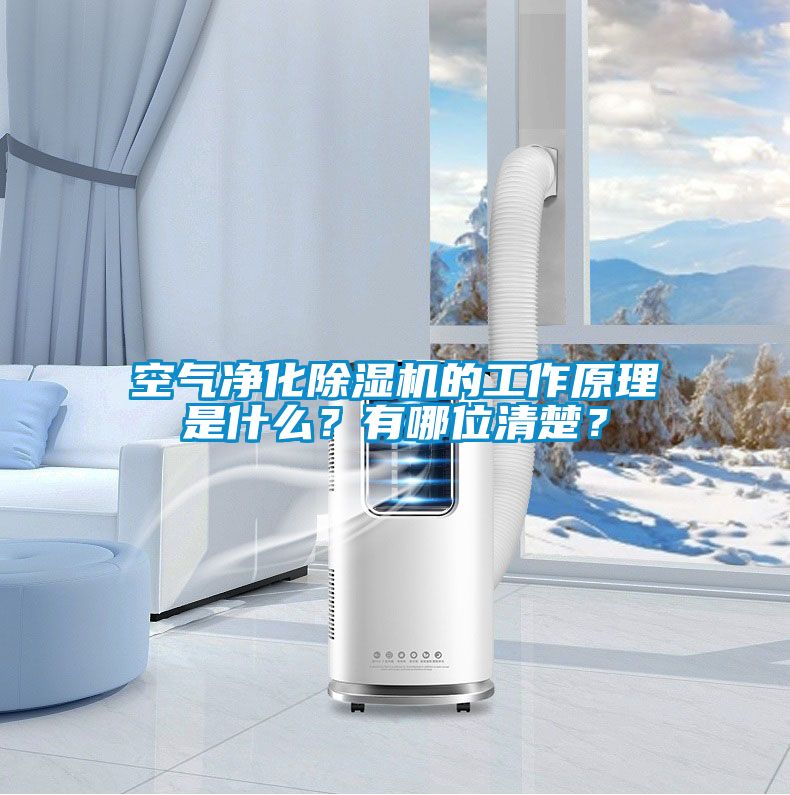 空氣凈化除濕機(jī)的工作原理是什么？有哪位清楚？