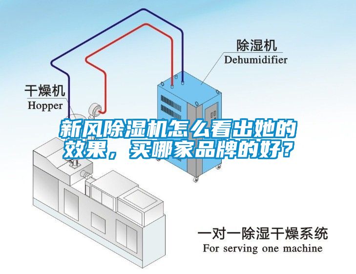 新風(fēng)除濕機(jī)怎么看出她的效果，買(mǎi)哪家品牌的好？