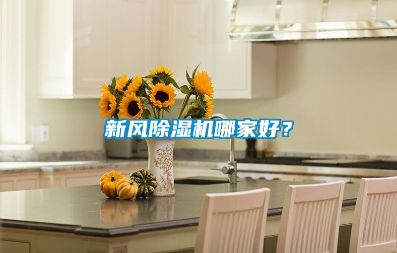 新風(fēng)除濕機(jī)哪家好？