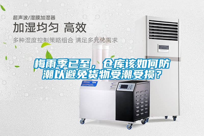 梅雨季已至，倉庫該如何防潮以避免貨物受潮受損？