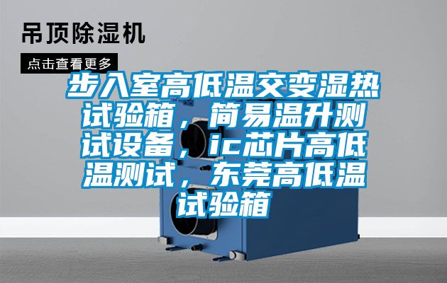 步入室高低溫交變濕熱試驗箱，簡易溫升測試設備，ic芯片高低溫測試，東莞高低溫試驗箱