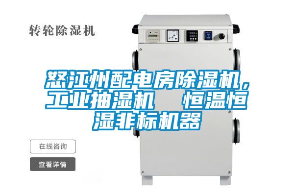 怒江州配電房除濕機(jī)，工業(yè)抽濕機(jī)  恒溫恒濕非標(biāo)機(jī)器