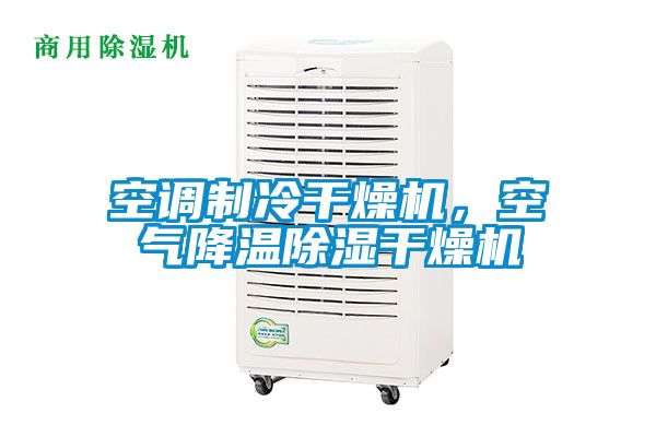 空調(diào)制冷干燥機(jī)，空氣降溫除濕干燥機(jī)
