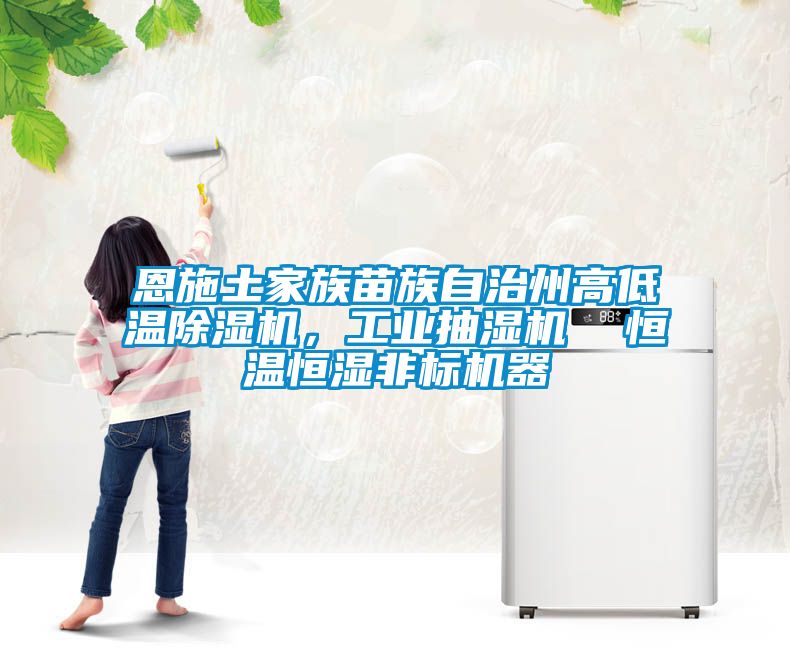 恩施土家族苗族自治州高低溫除濕機(jī)，工業(yè)抽濕機(jī)  恒溫恒濕非標(biāo)機(jī)器