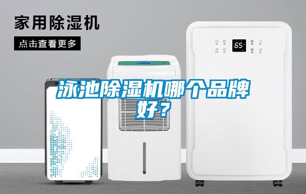 泳池除濕機(jī)哪個(gè)品牌好？