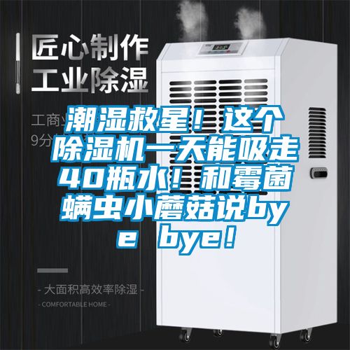 潮濕救星！這個除濕機一天能吸走40瓶水！和霉菌螨蟲小蘑菇說bye bye！