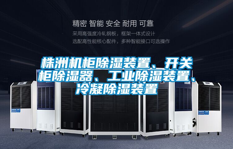 株洲機(jī)柜除濕裝置、開(kāi)關(guān)柜除濕器、工業(yè)除濕裝置、冷凝除濕裝置