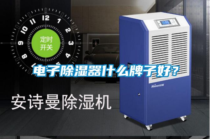 電子除濕器什么牌子好？