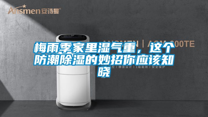 梅雨季家里濕氣重，這個(gè)防潮除濕的妙招你應(yīng)該知曉