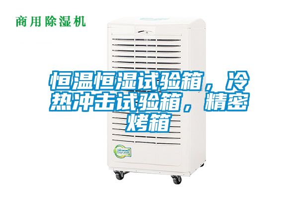 恒溫恒濕試驗(yàn)箱，冷熱沖擊試驗(yàn)箱，精密烤箱