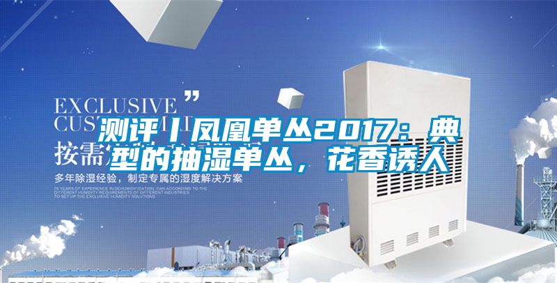 測(cè)評(píng)丨鳳凰單叢2017：典型的抽濕單叢，花香誘人