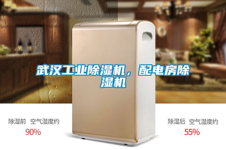 武漢工業(yè)除濕機(jī)，配電房除濕機(jī)