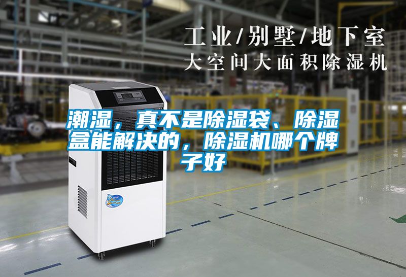 潮濕，真不是除濕袋、除濕盒能解決的，除濕機(jī)哪個牌子好