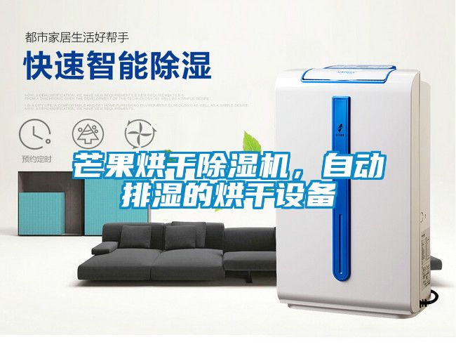 芒果烘干除濕機(jī)，自動排濕的烘干設(shè)備
