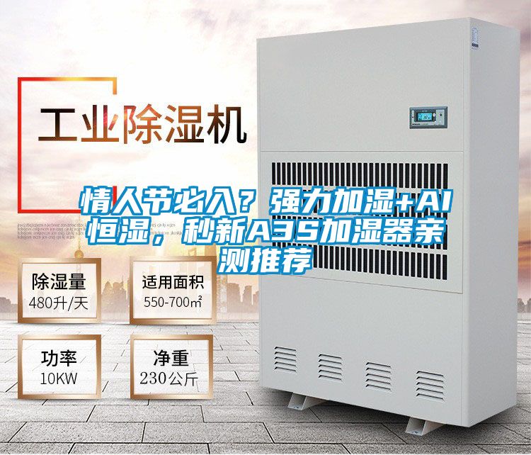 情人節(jié)必入？強(qiáng)力加濕+AI恒濕，秒新A3S加濕器親測推薦