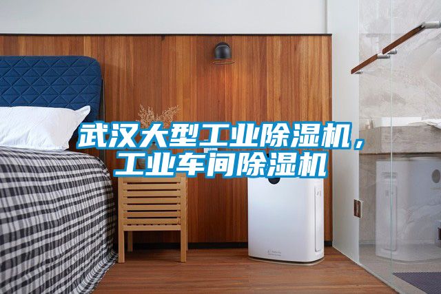 武漢大型工業(yè)除濕機(jī)，工業(yè)車(chē)間除濕機(jī)