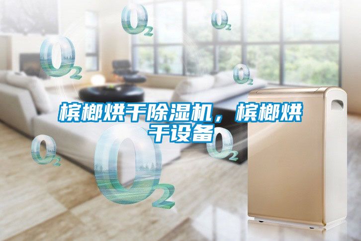 檳榔烘干除濕機，檳榔烘干設備
