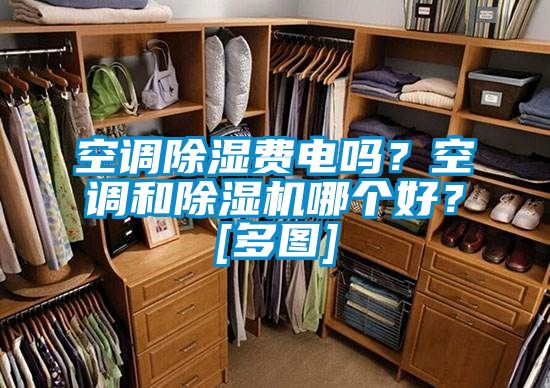 空調(diào)除濕費(fèi)電嗎？空調(diào)和除濕機(jī)哪個(gè)好？[多圖]