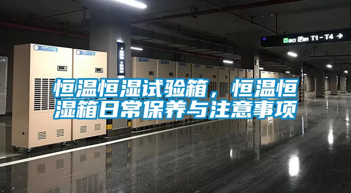 恒溫恒濕試驗箱，恒溫恒濕箱日常保養(yǎng)與注意事項