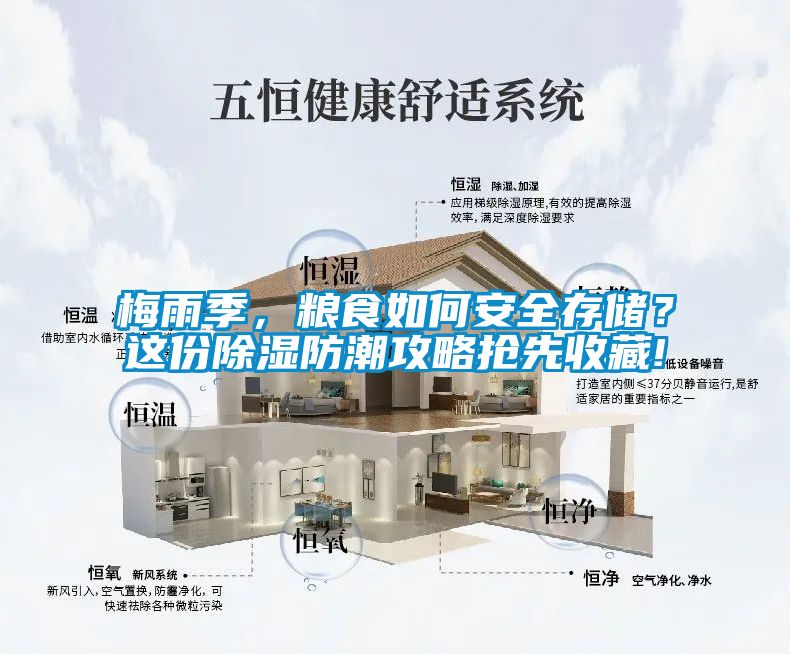 梅雨季，糧食如何安全存儲？這份除濕防潮攻略搶先收藏!