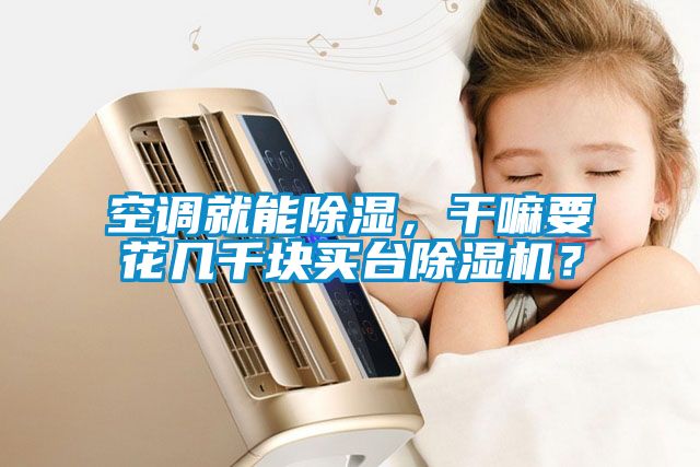 空調(diào)就能除濕，干嘛要花幾千塊買臺除濕機？