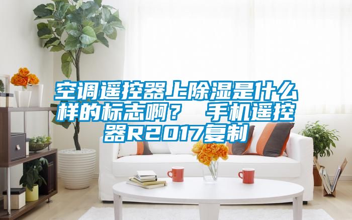 空調(diào)遙控器上除濕是什么樣的標(biāo)志啊？ 手機(jī)遙控器R2017復(fù)制